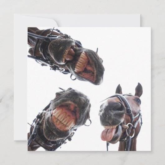 Enkele feestdagenkaart (Voorkant)