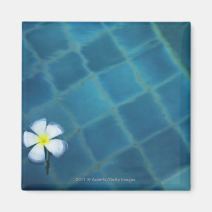 enkele franse bloem in water magneet