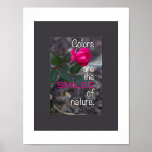 Enkele gebogen roze roos foto poster