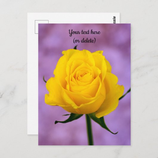 Enkele Gele Roos Ansichtkaart Briefkaart (Voorkant / Achterkant)