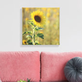 Enkele gele zonnebloem foto canvas afdruk (Insitu (Woonkamer))
