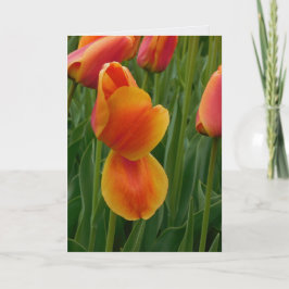 Enkele Gouden Tulp Notitiekaart