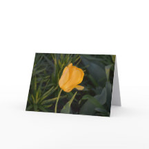 Enkele Gouden Tulp Notitiekaart