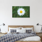 enkele grote margriet bloeiend canvas print (Insitu (Slaapkamer))
