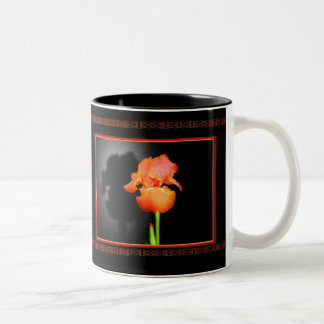 Enkele iris tweekleurige koffiemok