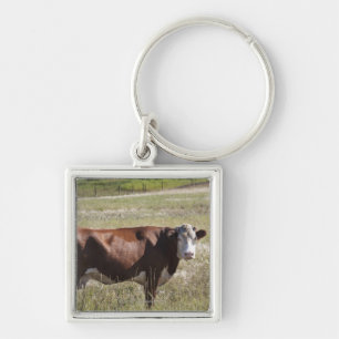 Enkele koe in een veld sleutelhanger
