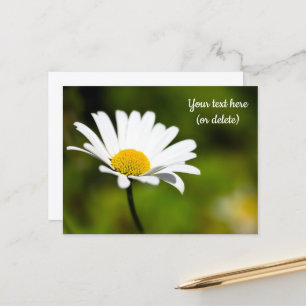 Enkele Madeliefje Ansichtkaart Briefkaart