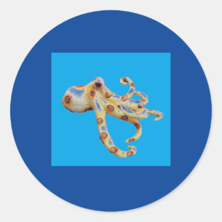 Enkele octopus op blauwe achtergrond ronde sticker