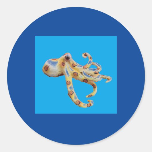 Enkele octopus op blauwe achtergrond ronde sticker (Voorkant)