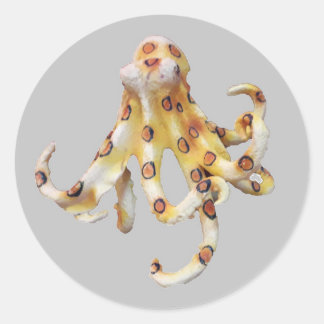 Enkele octopus op grijze achtergrond ronde sticker