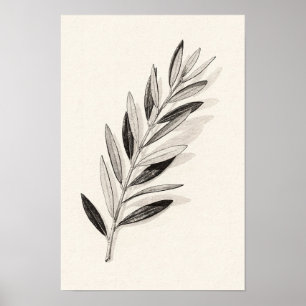 Enkele Olijftak Monochrome Natuur Poster