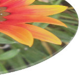 Enkele oranje bloem snijplank (Hoek)