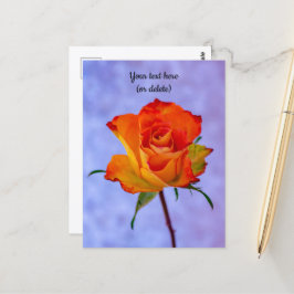 Enkele oranje en gele roos ansichtkaart briefkaart