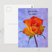 Enkele oranje en gele roos ansichtkaart briefkaart (Voorkant / Achterkant)