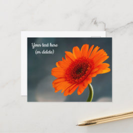 Enkele oranje Gerbera-ansichtkaart Briefkaart