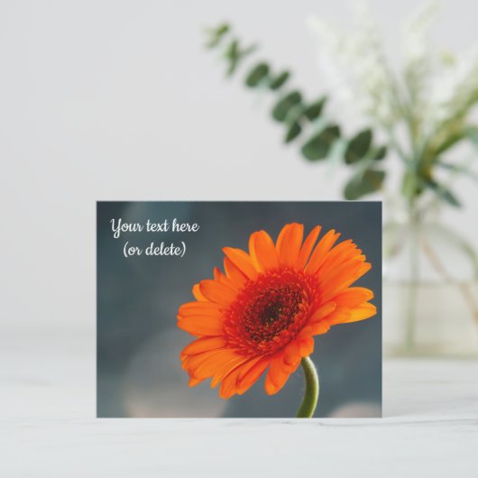 Enkele oranje Gerbera-ansichtkaart Briefkaart (Staand voorkant)