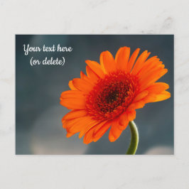Enkele oranje Gerbera-ansichtkaart Briefkaart