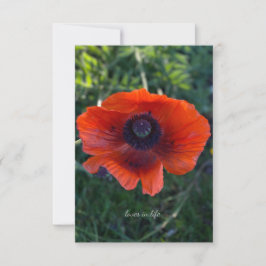 Enkele Oranje oosterse papaver Notitiekaartje