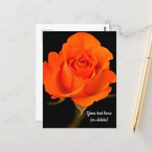 Enkele oranje roos ansichtkaart briefkaart