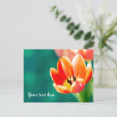 Enkele oranje tulp ansichtkaart briefkaart (Staand voorkant)