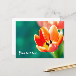 Enkele oranje tulp ansichtkaart briefkaart