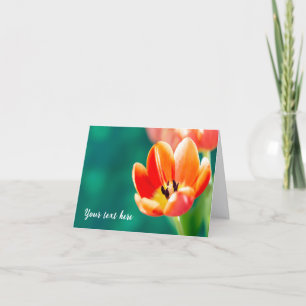 Enkele oranje tulp wenskaart kaart