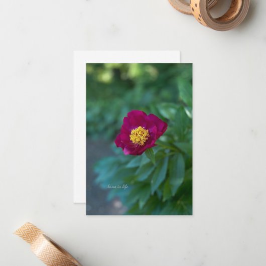 Enkele pioen notitiekaartje (Voorkant / Achterkant in situ)