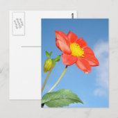 Enkele rode aardbeibloesem bloem briefkaart (Voorkant / Achterkant)