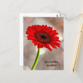 Enkele rode Gerbera-ansichtkaart Briefkaart