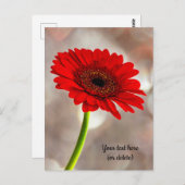 Enkele rode Gerbera-ansichtkaart Briefkaart (Voorkant / Achterkant)