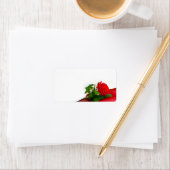 Enkele Rode Roos – Bloemige Witte Achtergrond Etiket (Insitu)