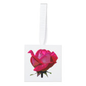 enkele rode roos decoratie (Voorkant)