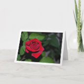Enkele rode roos en groene bladeren kaart (Voorkant)