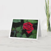 Enkele rode roos en groene bladeren kaart (Voorkant)