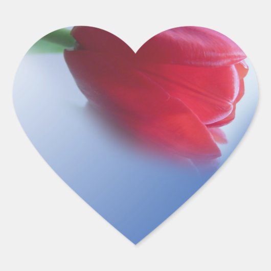 Enkele rode tulp bloem hart sticker (Voorkant)