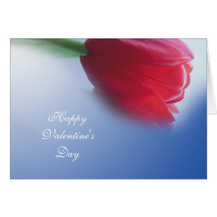 Enkele rode tulpenbloem