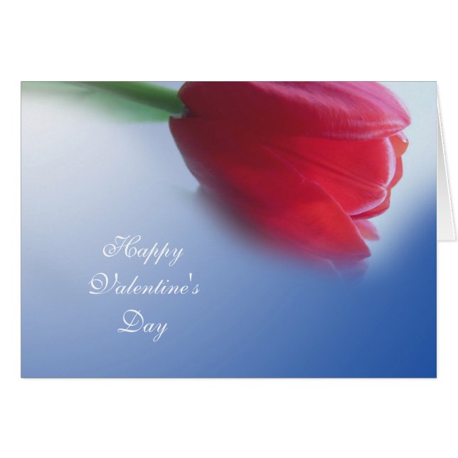 Enkele rode tulpenbloem (Voorkant Horizontaal)