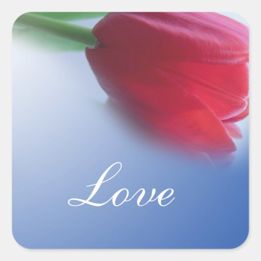 Enkele rode tulpenbloem vierkante sticker (Voorkant)