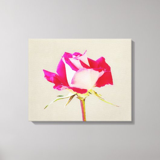 Enkele Roos Kunst Fotoprente Canvas Afdruk (Voorkant)