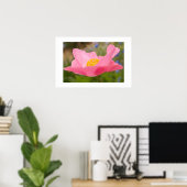 Enkele Roze Klaproos Foto Close-up Poster (Thuiskantoor)