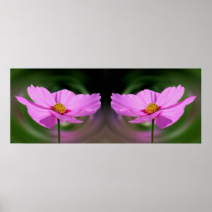 Enkele Roze Kosmos Bloemspiegel Abstract Poster