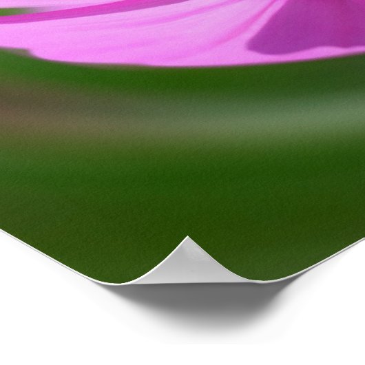 Enkele Roze Kosmos Bloemspiegel Abstract Poster (Hoek)