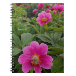 Enkele roze pioenrozen notitieboek