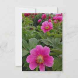 Enkele roze pioenrozen notitiekaartje