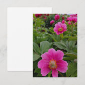 Enkele roze pioenrozen notitiekaartje (Voorkant / Achterkant)