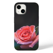 Enkele roze roos met dauw