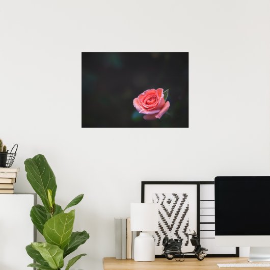 Enkele roze roos met dauw poster (Thuiskantoor)
