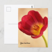 Enkele Roze Tulp Briefkaart (Voorkant / Achterkant)