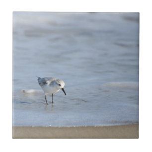 Enkele strandloper loopt op het strand tegeltje