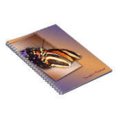 Enkele strepen II tonen Notitieboek (Rechterzijde)